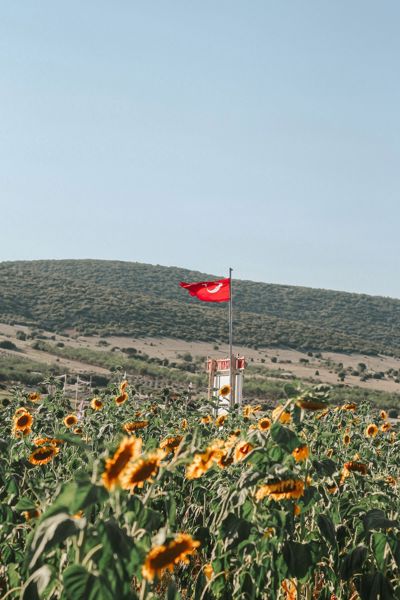 Esatpaşa'de 4.200 m² Tarla — Ana Yola Yakın