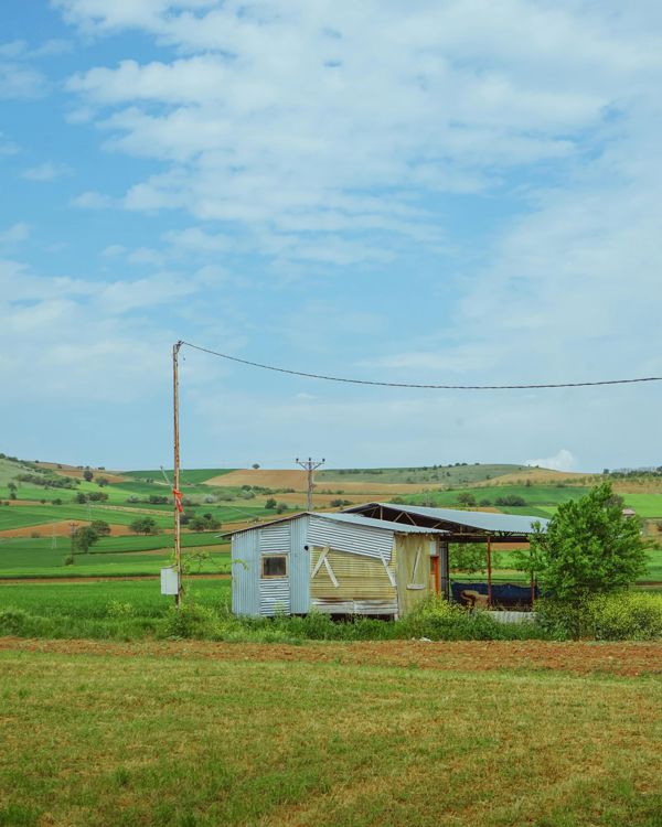 Bolluca'de 2.100 m² Bağ & Bahçe — Yol Kenarında