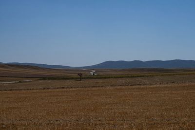 Burgazada Mahallesi'nde Yola Cepheli 480 m² Konut İmarlı Arsa