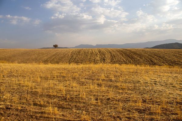 Nizam'de 3.400 m² Yola Cepheli Tarla