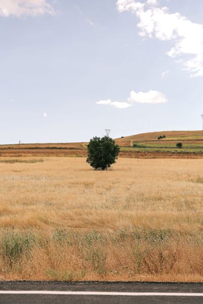 Esatpaşa'de 4.200 m² Tarla — Ana Yola Yakın
